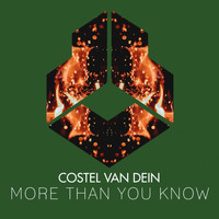 Costel Van Dein - More Than You Know