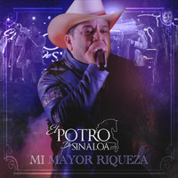 El Potro De Sinaloa - Mi Mayor Riqueza (En Vivo)
