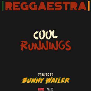 The Reggaestra - Cool Runnings