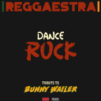 The Reggaestra - Dance Rock