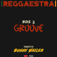 The Reggaestra - Rock and Groove