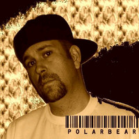 Polar Bear - Pill Box Pimpin