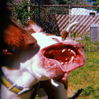 Cloud Rat - Mother Tongue / Glitter Belly