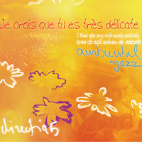 Directia 5 - Cred ca esti extrem de delicata - Ambiental jazz