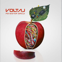 Voltaj - Povestea oricui