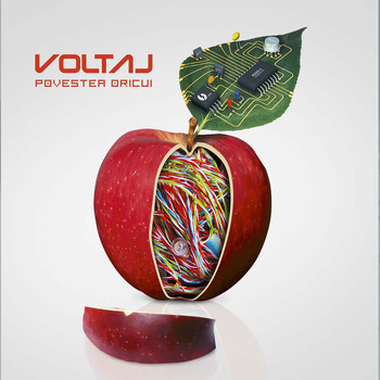 Voltaj - Povestea oricui