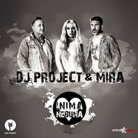 DJ Project - Inima nebuna