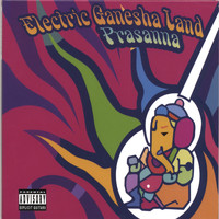 Prasanna - Electric Ganesha Land