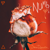Jason Reeves - Numb (Explicit)