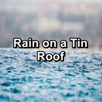 Soothing Nature Sounds - Rain on a Tin Roof
