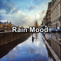 ASMR SLEEP - Rain Mood