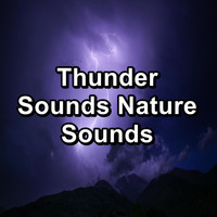 Nature Tribe - Thunder Sounds Nature Sounds