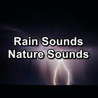 Binaural Beats Sleep - Rain Sounds Nature Sounds