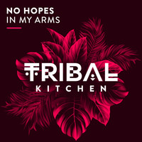 No Hopes - In My Arms