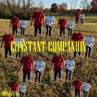 Mulligan - Constant Companion