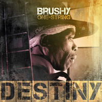 Brushy One String - Destiny