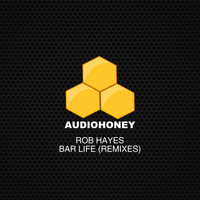 Rob Hayes - Bar Life (Remixes)