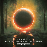 Rodrigo y Gabriela - Lingus (Michael League & Nic Hard Remix)
