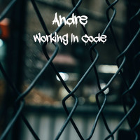 Andre / - Working in Code