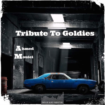 Ahmed Mouici - Tribute to goldies
