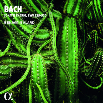 Benjamin Alard - Bach: Sonates en trio, BWV 525-530 (Alpha Collection)