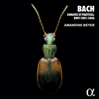 Amandine Beyer - Bach: Sonates et partitas, BWV 1001-1006 (Alpha Collection)