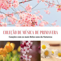 Miguel dos Focos - Coleção de Música de Primavera: Canções com os mais Belos sons da Natureza