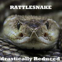 drastically Reduced / - Rattlesnake