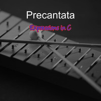 Precantata / - Expressions in C
