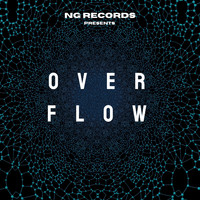 Various Artists / - Over Flow