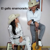 LOS FLORES DE YUNGAY - El Gallo Enamorado
