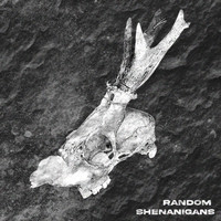 EdiP - RANDOM SHENANIGANS (Explicit)