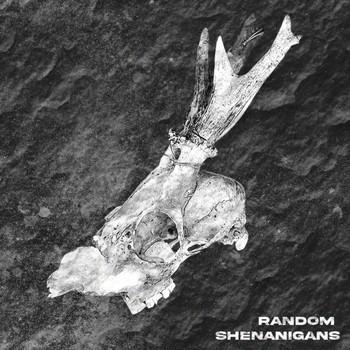 EdiP - RANDOM SHENANIGANS (Explicit)