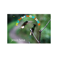 Jesús Sosa - HUMMINGBIRDS