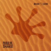 Paolo M. - Shake (Radio Edit)