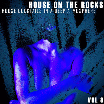Various Artists - House on the Rocks, Vol. 8