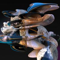 Lee Gamble - Hyperpassive
