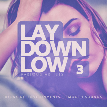 Various Artists - Lay Down Low, Vol. 3