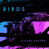 Figure Factor - Birds