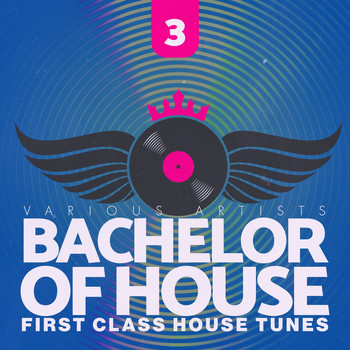 Various Artists - Bachelor of House, Vol. 3