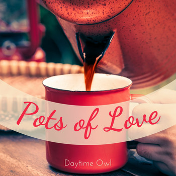 Daytime Owl - Pots of Love