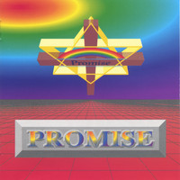 Promise - Come While You Can