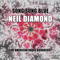 Neil Diamond - Song Sung Blue (Live)