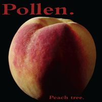 Pollen - Peach Tree