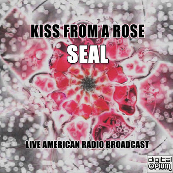 Seal - Kiss From a Rose (Live)