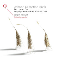 Collegium Vocale Gent and Philippe Herreweghe - Bach: Du Treuer Gott. Leipzig Cantatas BWV 101, BWV 103 & BWV 115
