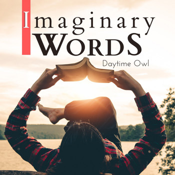 Daytime Owl - Imaginary Words