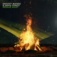 Groovy Waters & David Forest - Reggae Night