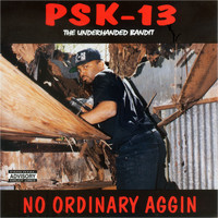 PSK-13 - No Ordinary Aggin (The Underhanded Bandit)