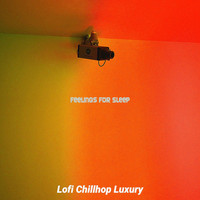 Lofi Chillhop Luxury - Feelings for Sleep